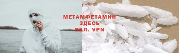 трава Аркадак