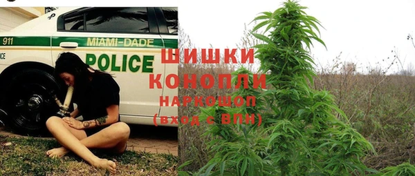 трава Аркадак