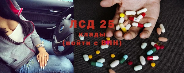 трава Аркадак