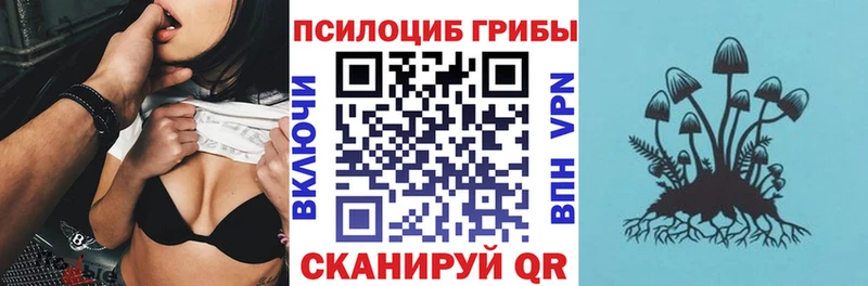 Псилоцибиновые грибы Cubensis  МЕГА зеркало  Сибай  купить закладку 